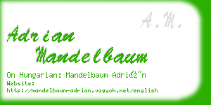 adrian mandelbaum business card